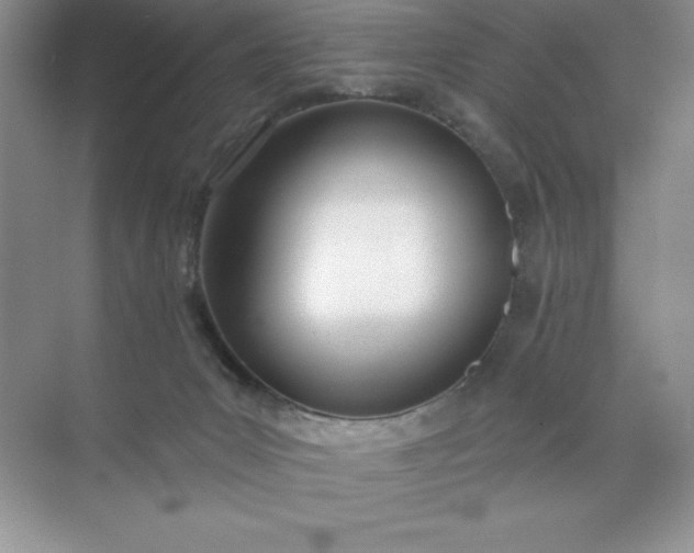 X0000071940031200607212212