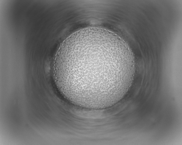 X0000071940032200607212212