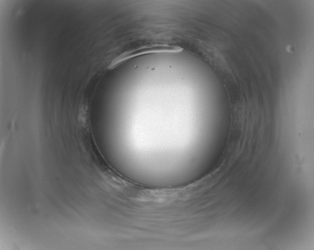 X0000071940033200607212212