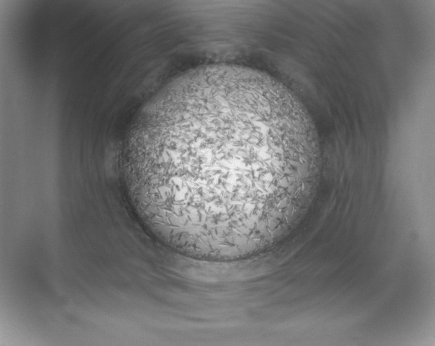 X0000071940034200607212212