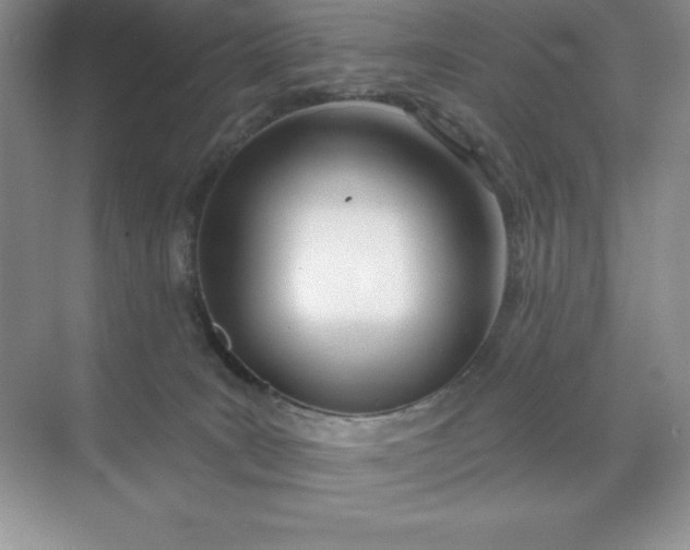 X0000071940035200607212212