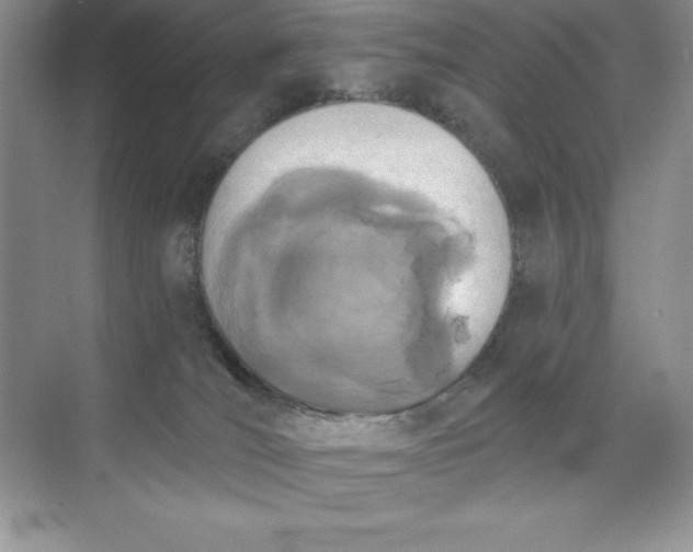 X0000071940036200607212212