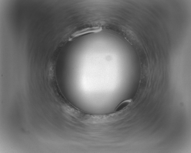 X0000071940037200607212212