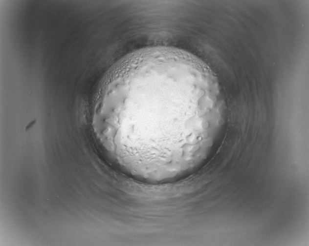 X0000071940038200607212212