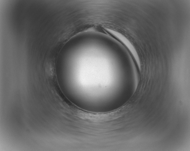 X0000071940039200607212212