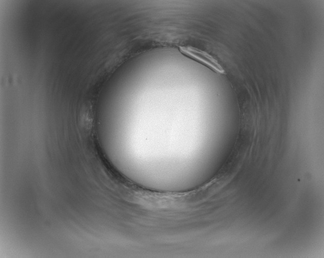 X0000071940040200607212212