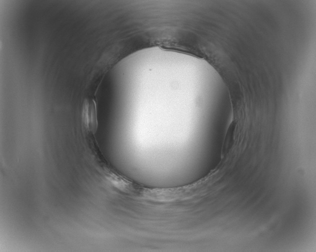 X0000071940041200607212212