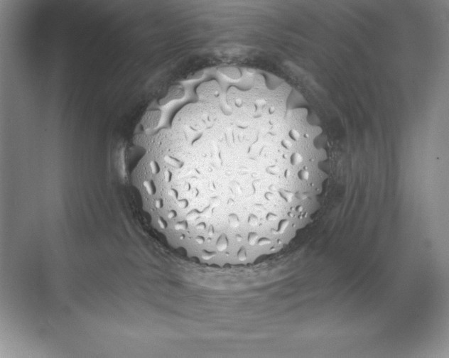 X0000071940042200607212212