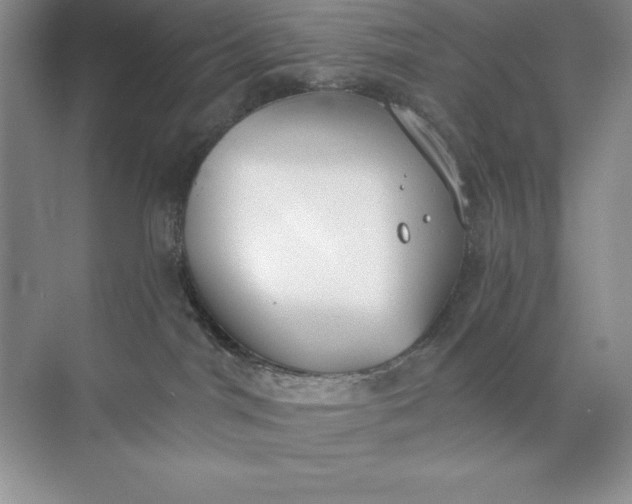 X0000071940044200607212212