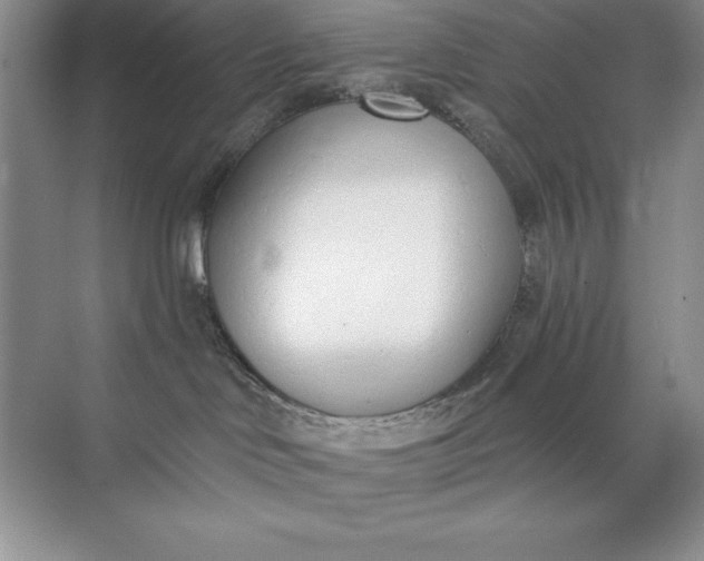 X0000071940046200607212212