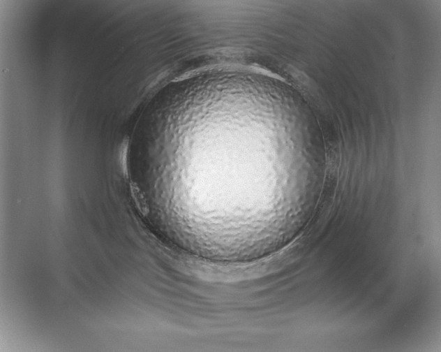 X0000071940047200607212212