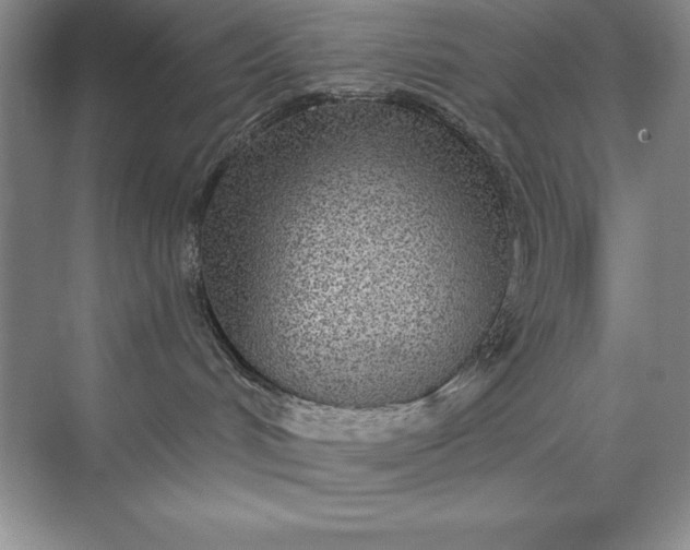 X0000071940048200607212212