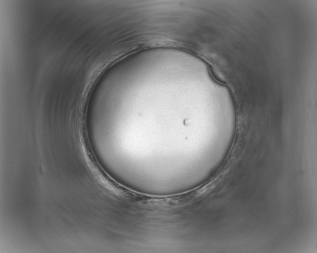 X0000071940049200607212211