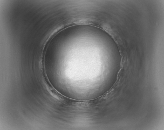 X0000071940050200607212211