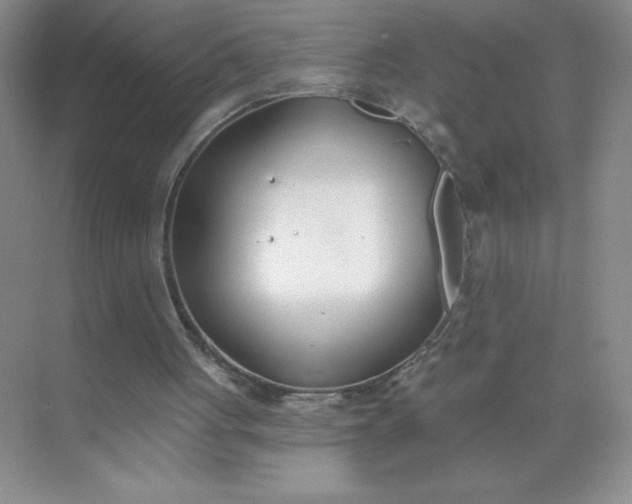 X0000071940051200607212211