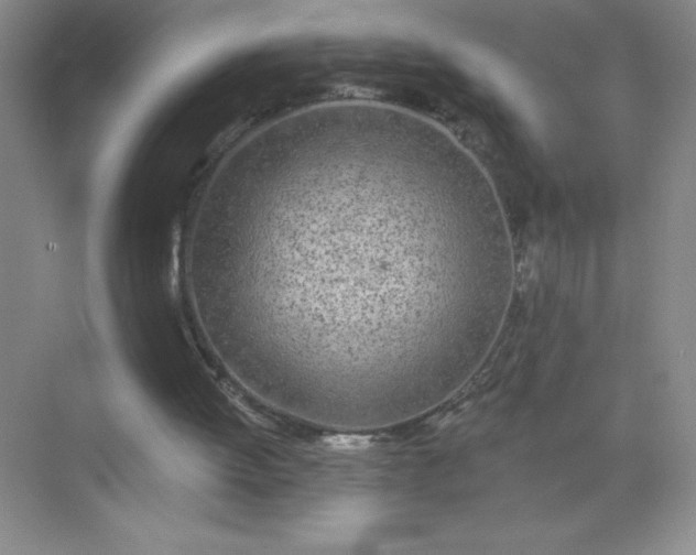 X0000071940052200607212211