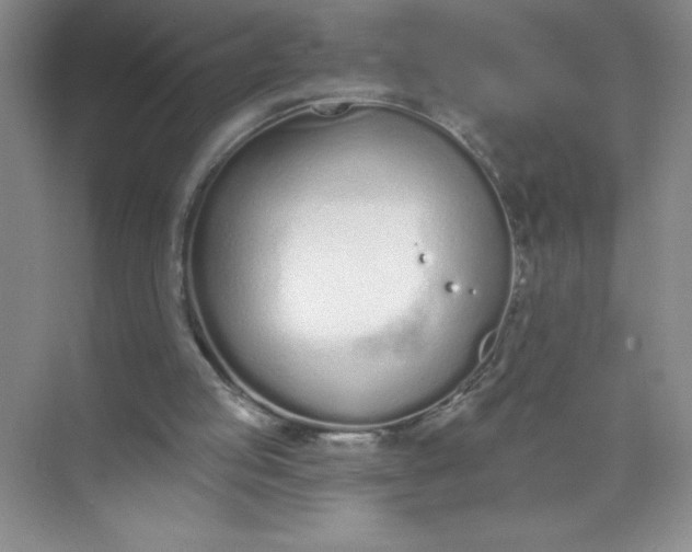 X0000071940053200607212211