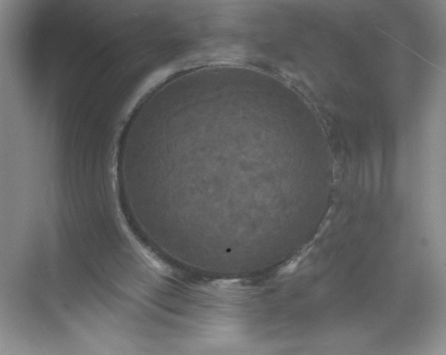 X0000071940054200607212211