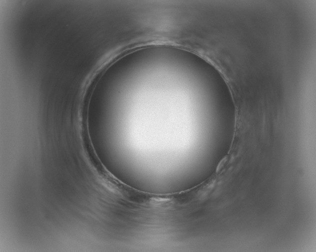 X0000071940055200607212211