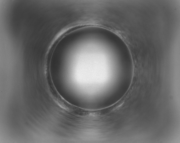 X0000071940056200607212211