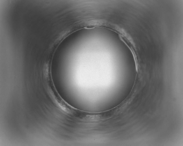 X0000071940057200607212211