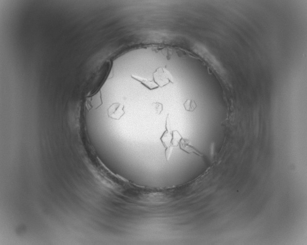 X0000071940058200607212211