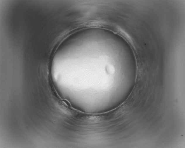 X0000071940059200607212211