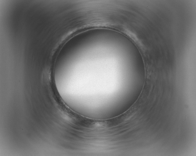 X0000071940060200607212211