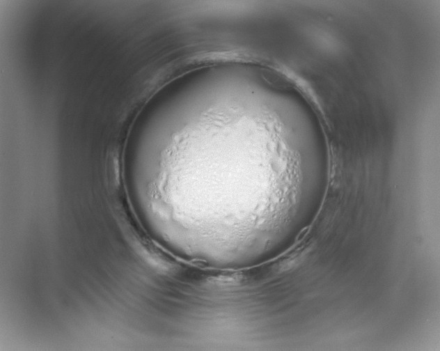 X0000071940061200607212211