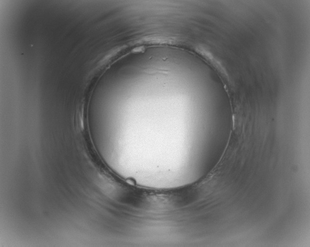 X0000071940062200607212211