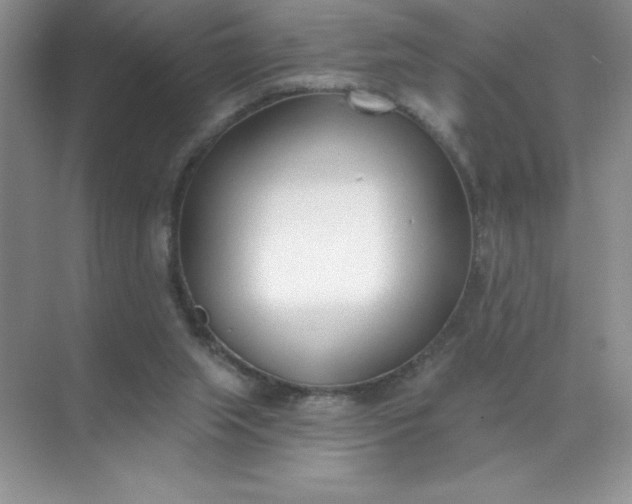 X0000071940063200607212211