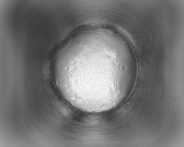 X0000071940065200607212211