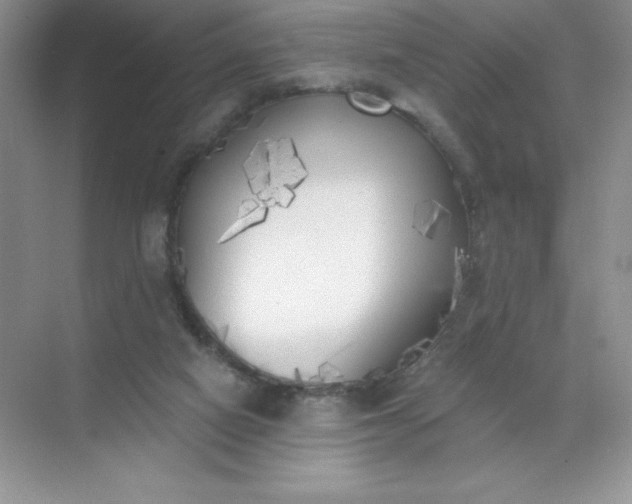 X0000071940066200607212211