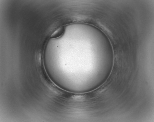 X0000071940067200607212211