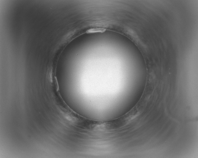 X0000071940068200607212211