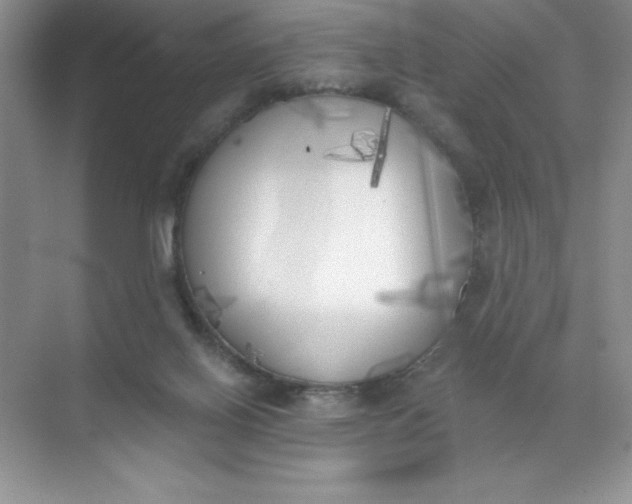 X0000071940070200607212211