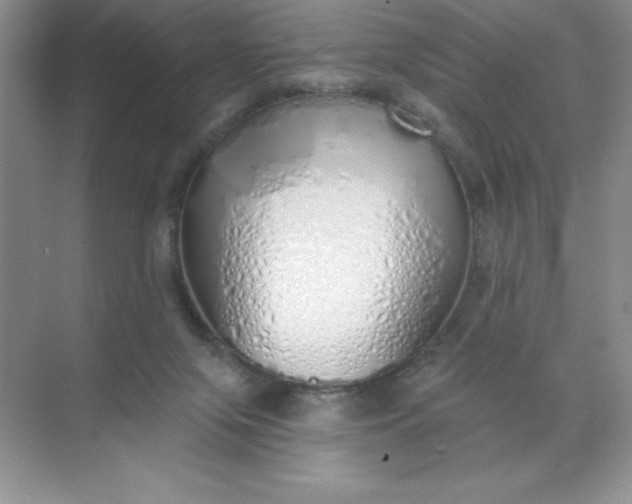 X0000071940071200607212211