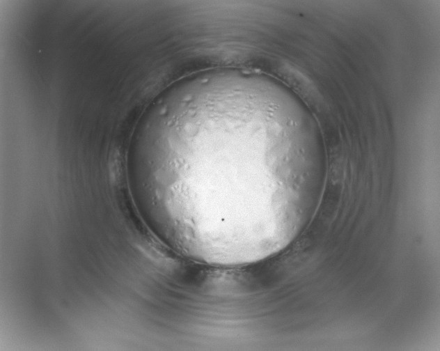 X0000071940077200607212211