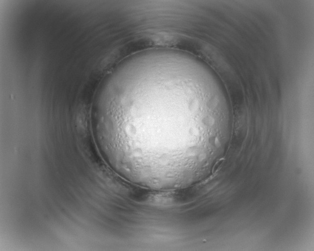 X0000071940078200607212211