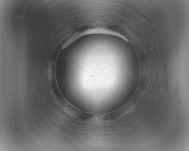 X0000071940080200607212211