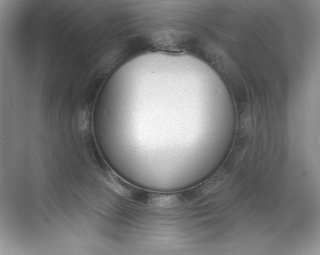 X0000071940081200607212211