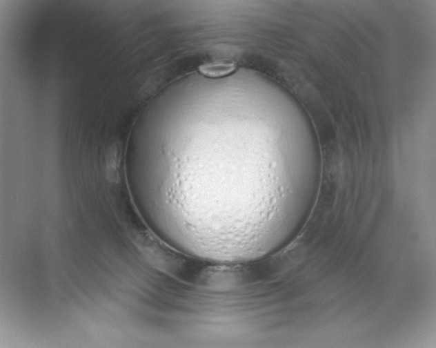 X0000071940082200607212211