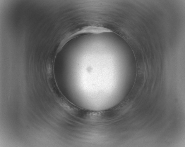 X0000071940084200607212211