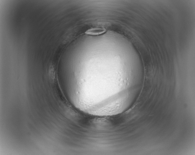 X0000071940086200607212211