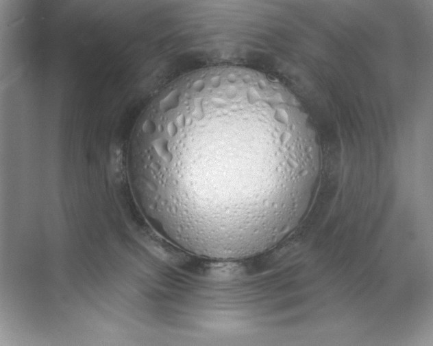 X0000071940087200607212211