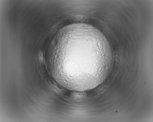 X0000071940089200607212211