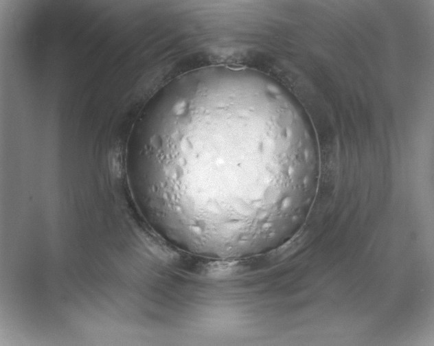 X0000071940090200607212212