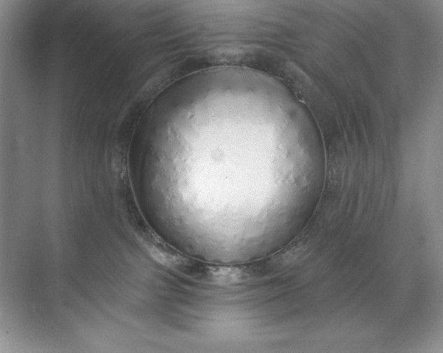 X0000071940091200607212212