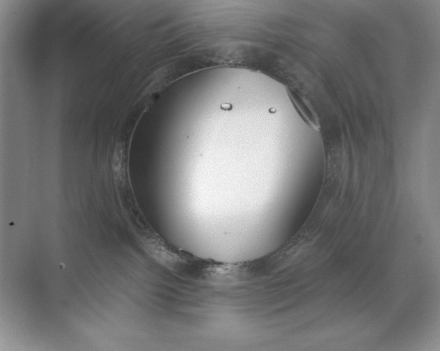 X0000071940092200607212212