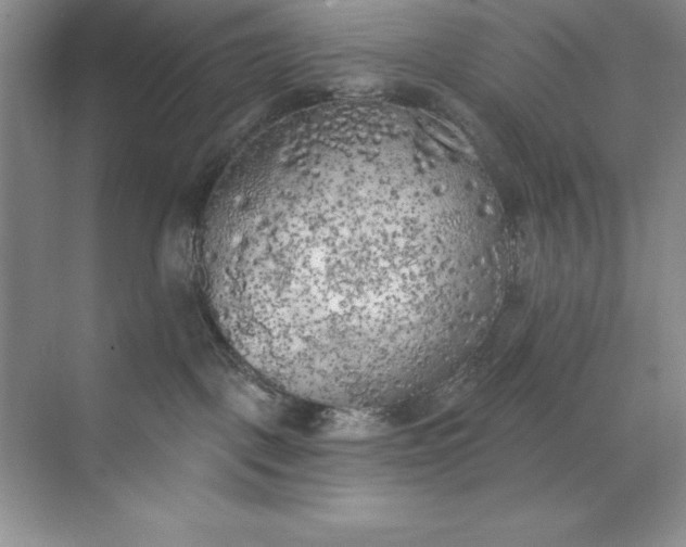 X0000071940093200607212212